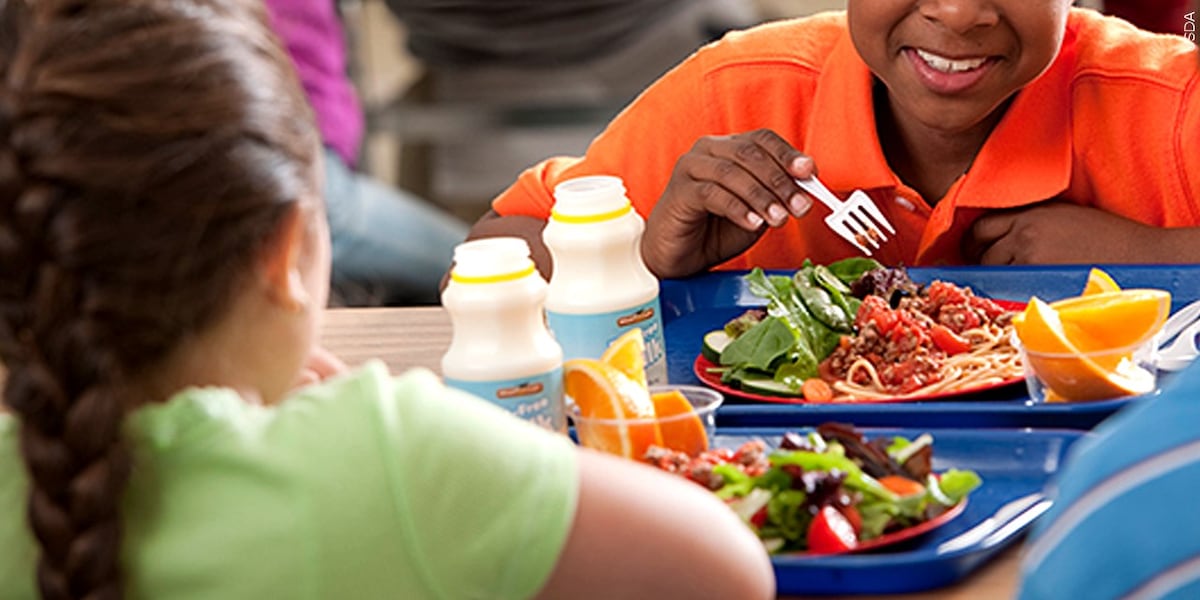 Free School Meals for All: Senate Finance Committee Weighs November Ballot Initiative