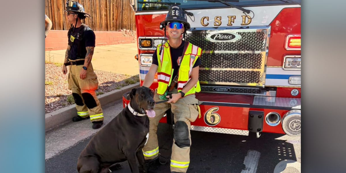 ‘Ruff morning’: Colorado Springs firefighters take care of dog after ...