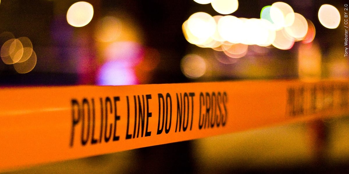 Shooting News Image