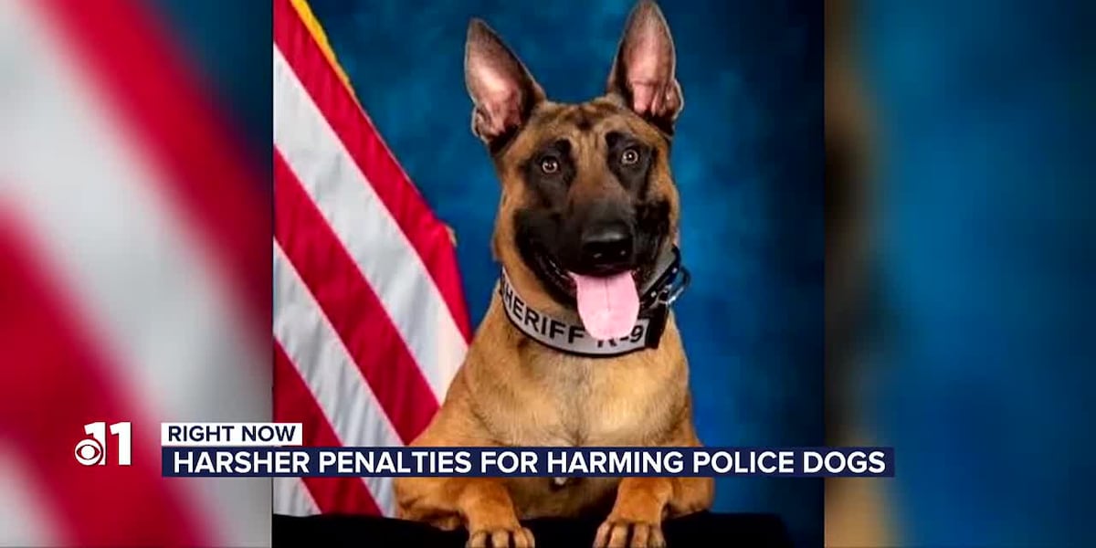 Bill passes Colorado House to increase fines for hurting or killing law ...