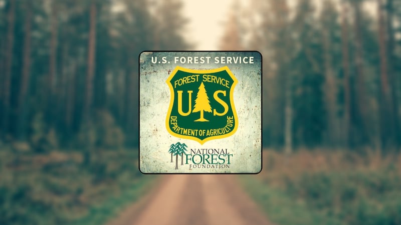 Usfs Forest U.S. Forest Service looking to hire 250 firefighters in states ...