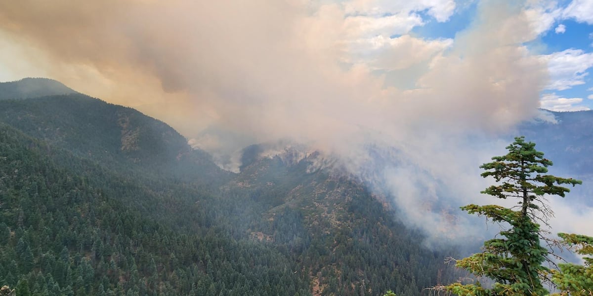 Oak Ridge Fire Started El incendio de Oak Ridge en el sur de Colorado ahora tiene más de 1,000 ...