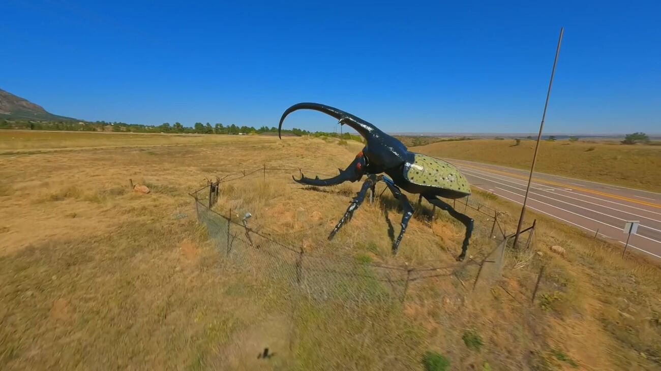 BOOO with the Bugs! Enjoy a creepy, crawly Halloween event at Colorado ...