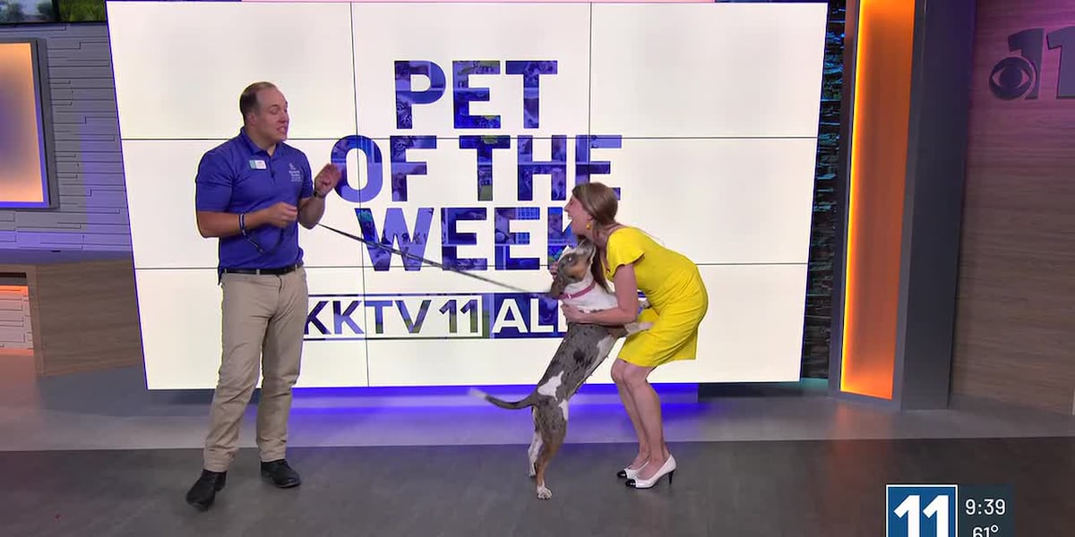 Pet of the Week: Help lovebug Camellia find her fur-ever family!