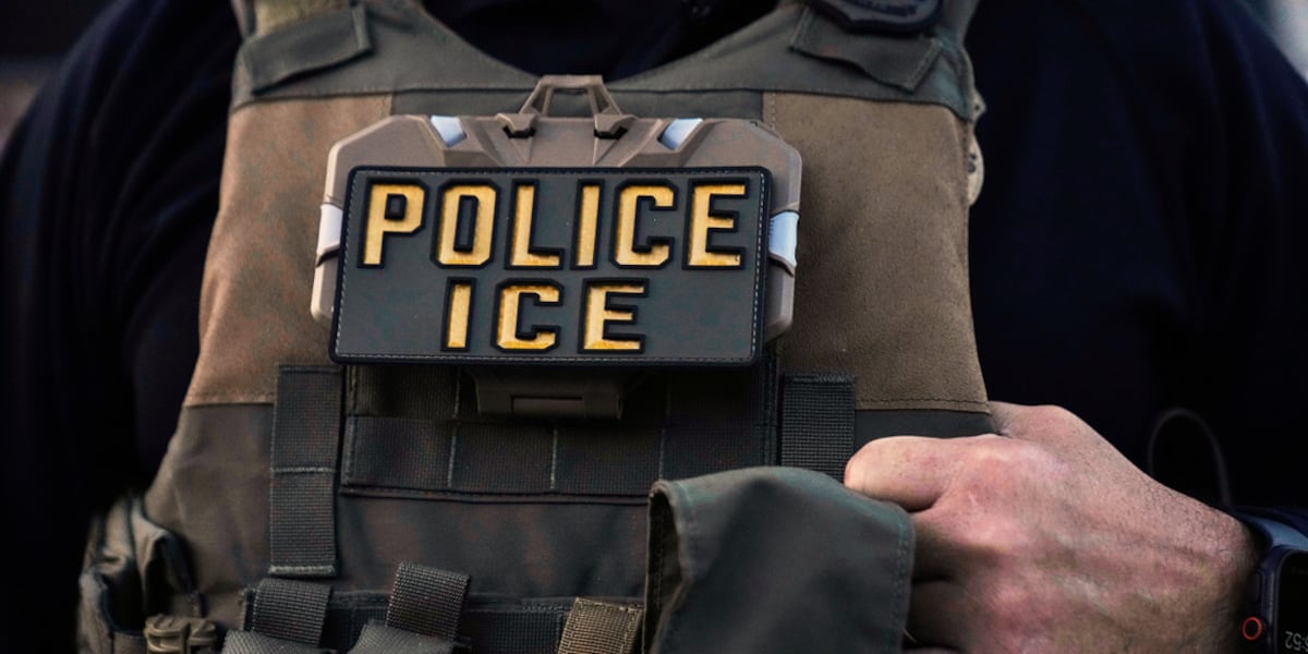 Reporting related to vehículo