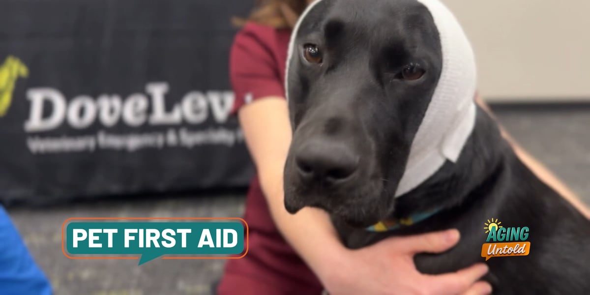 Veterinarians teach pet owners basic skills for common emergencies