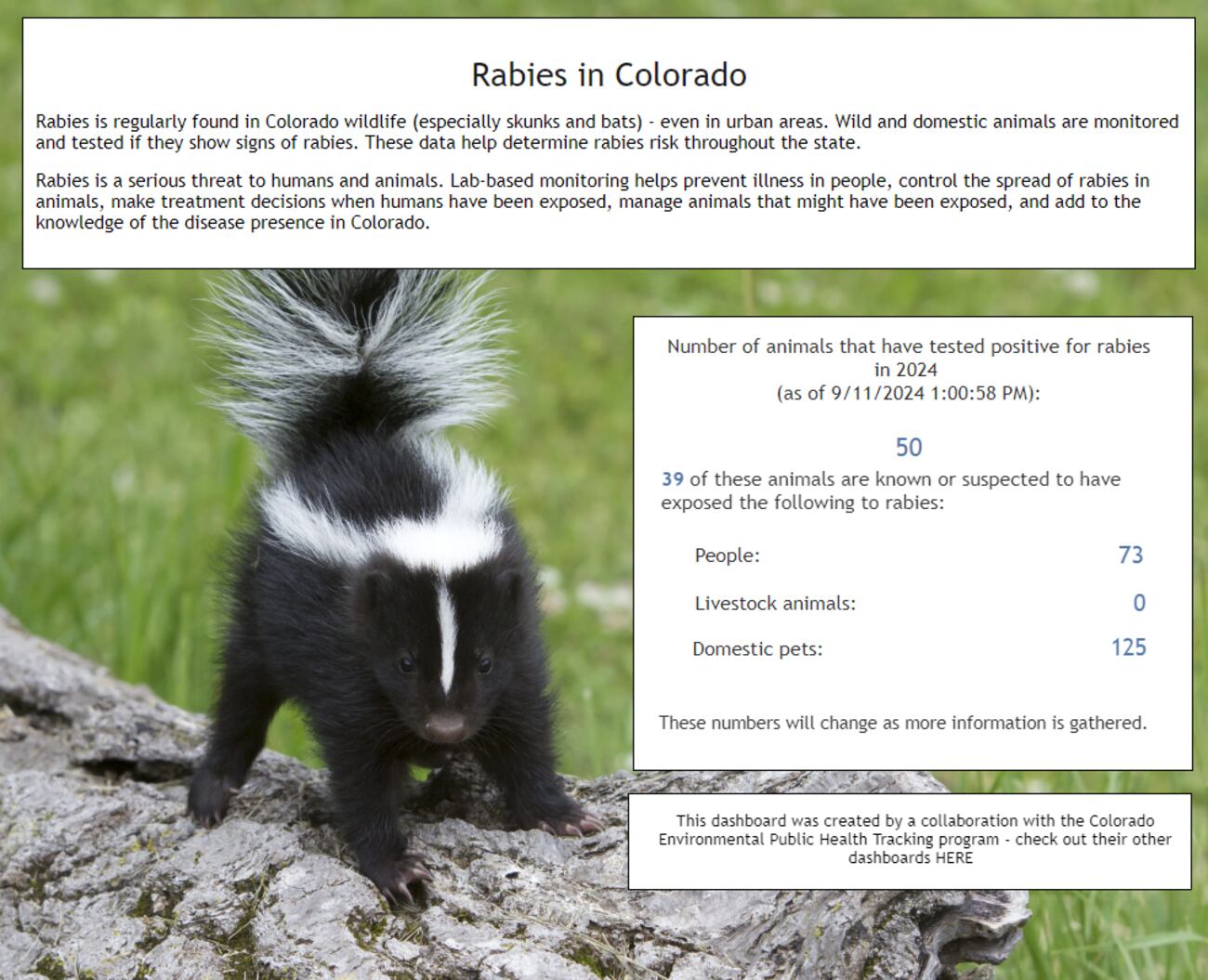 Bat Rabies Color Bat with rabies found in western Colorado, the 50th rabid animal ...