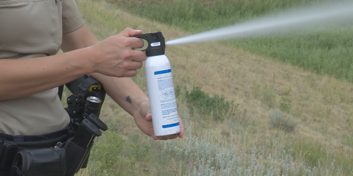 As Aspen Acres Fire Cleanup Begins, Residents Warned of Increased Wildlife Activity and Bear Attraction