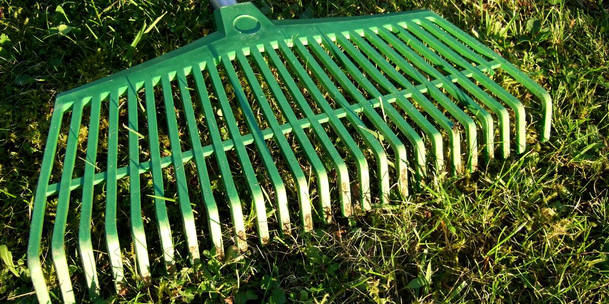 Woman dies after hit in head with rake, police say