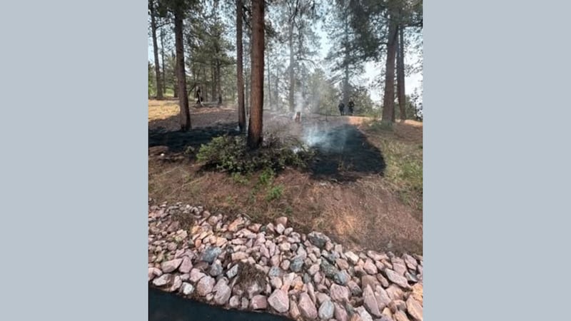 A fire started in Woodland Park on Tuesday.