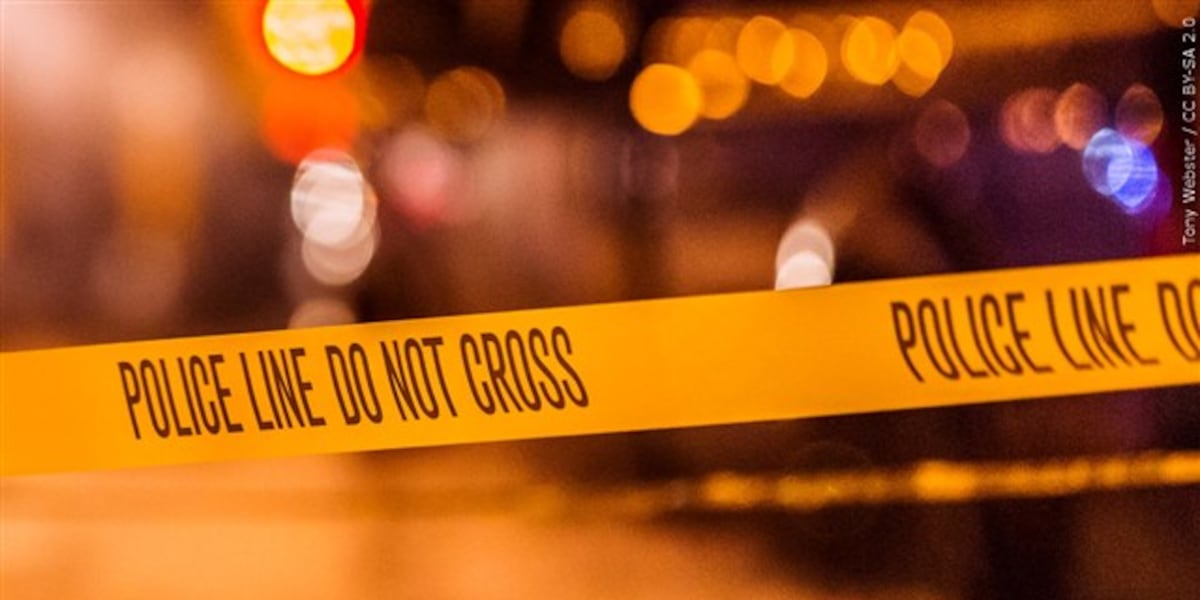 Assault News Image