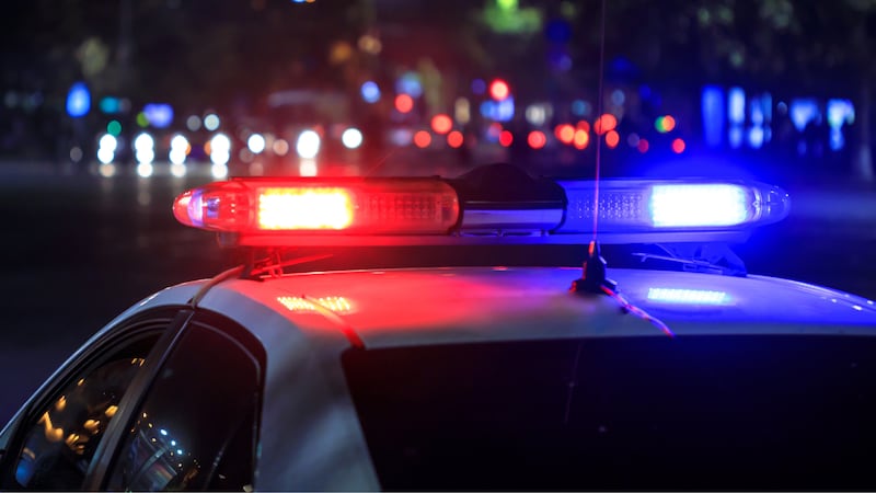 Police said the dogs’ owner is cooperating with the investigation.