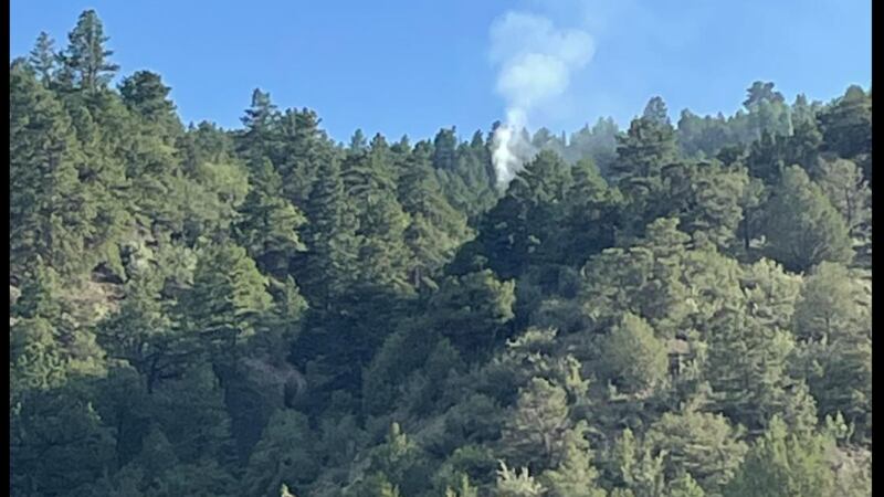 Firefighters quickly extinguish fire in Chaffee County started by lightning