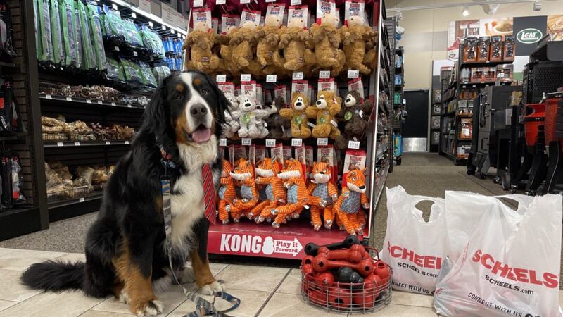 Scheels Dog Rope Mayor Parker the Snow Dog invites you -- and your pup! -- to a ‘Dog ...