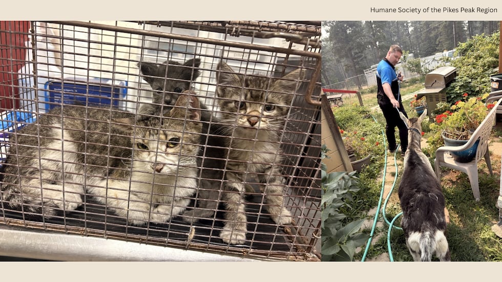 As evacuees of the Aspen Acres Fire slowly start coming back home, the Humane Society of the...