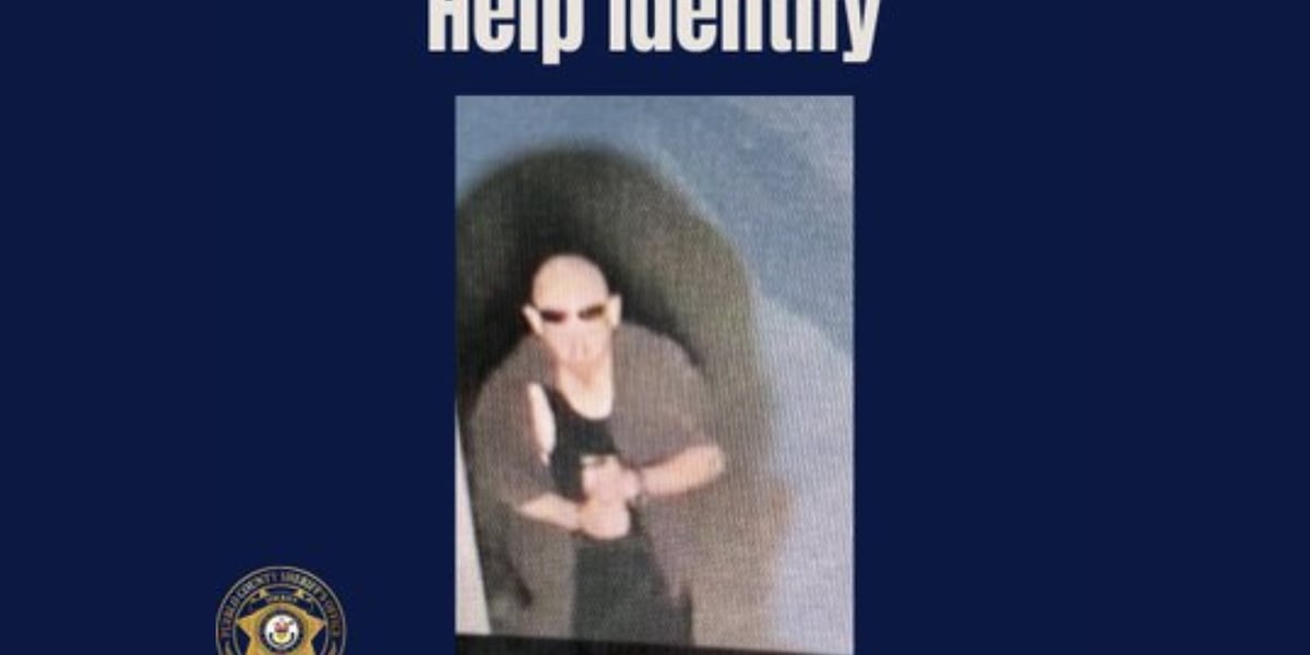 Theft News Image