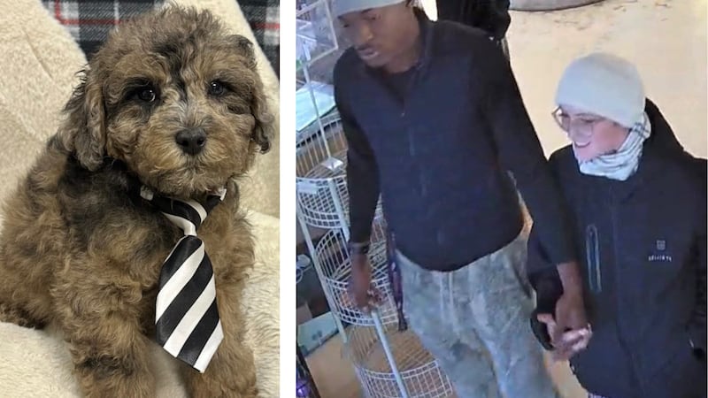 Investigators in Arapahoe County are asking for the public’s help identifying two suspects...