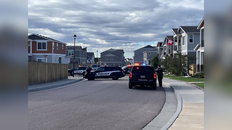 Man found guilty of murdering 17-year-old Riley Whitelaw at a Colorado ...