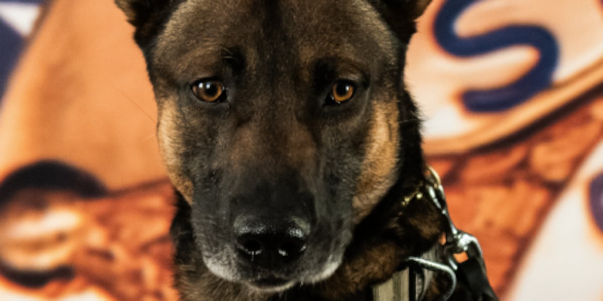 El Paso County K9 dead after incident while off duty