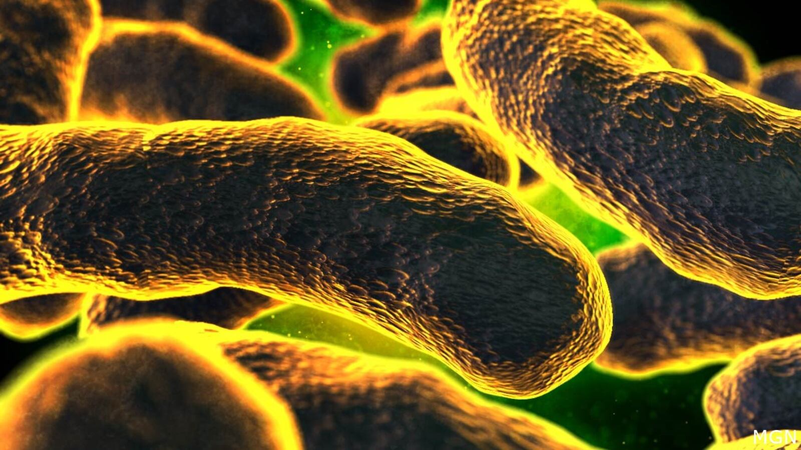 CDC announces new E. coli outbreak linked to organic carrots; at least 1 in Colorado among the ill