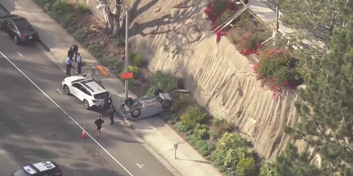 Teen was learning to drive when she crashed off embankment and killed father, police say