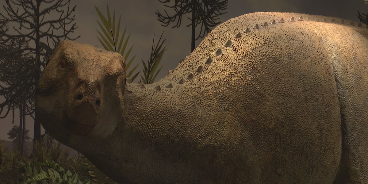 Dinosaur Program Colorado dinosaurs program gives kids a hands-on look at prehistoric ...