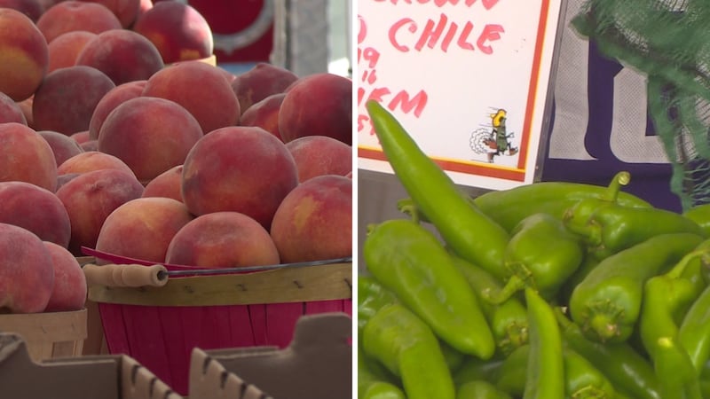 Colorado house passes bill preventing out-of-state farms from using 'grown in Colorado' labels.