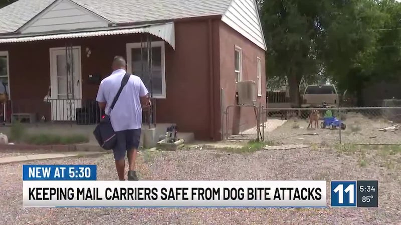 More than 5,200 postal employees suffered dog attacks nationwide, including 105 incidents in...