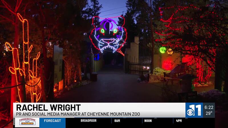 Months of work goes into transforming the Cheyenne Mountain Zoo into a holiday wonderland!